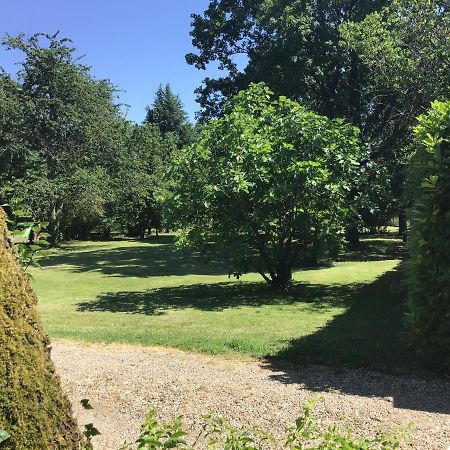 A L'Olivier Bed & Breakfast Montcaret Exterior foto